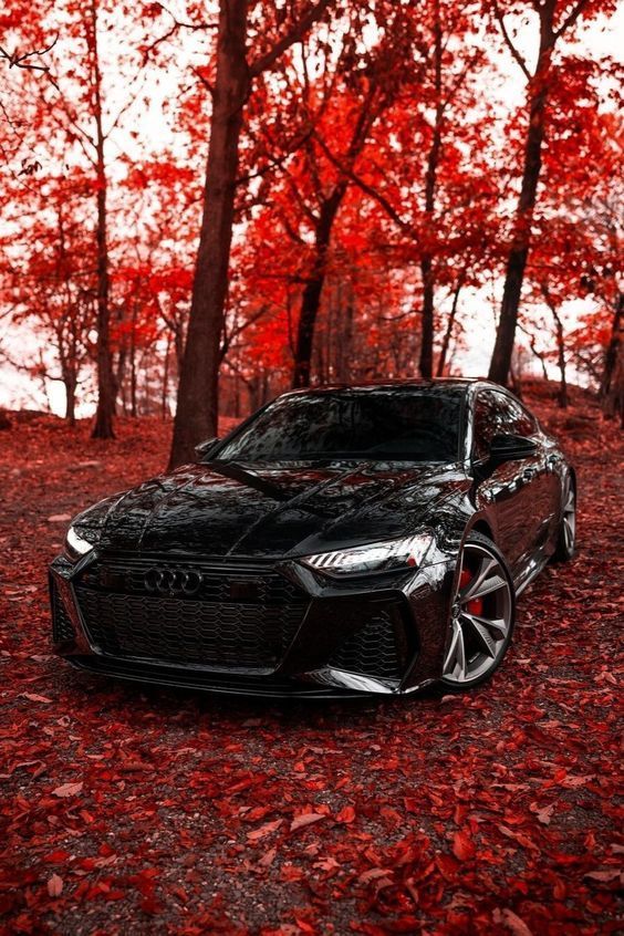 Audi Rs7 2021 (Black) | Audi Cars