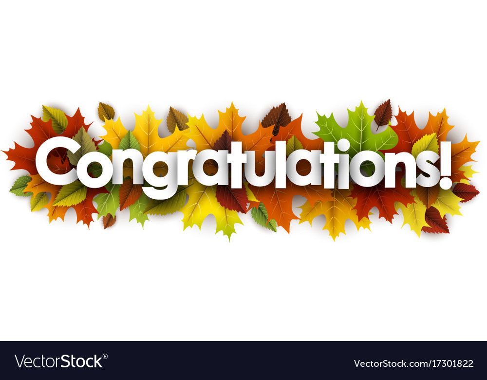 Autumn Congratulations Banner With Leaves Vector On Vectorstock Images