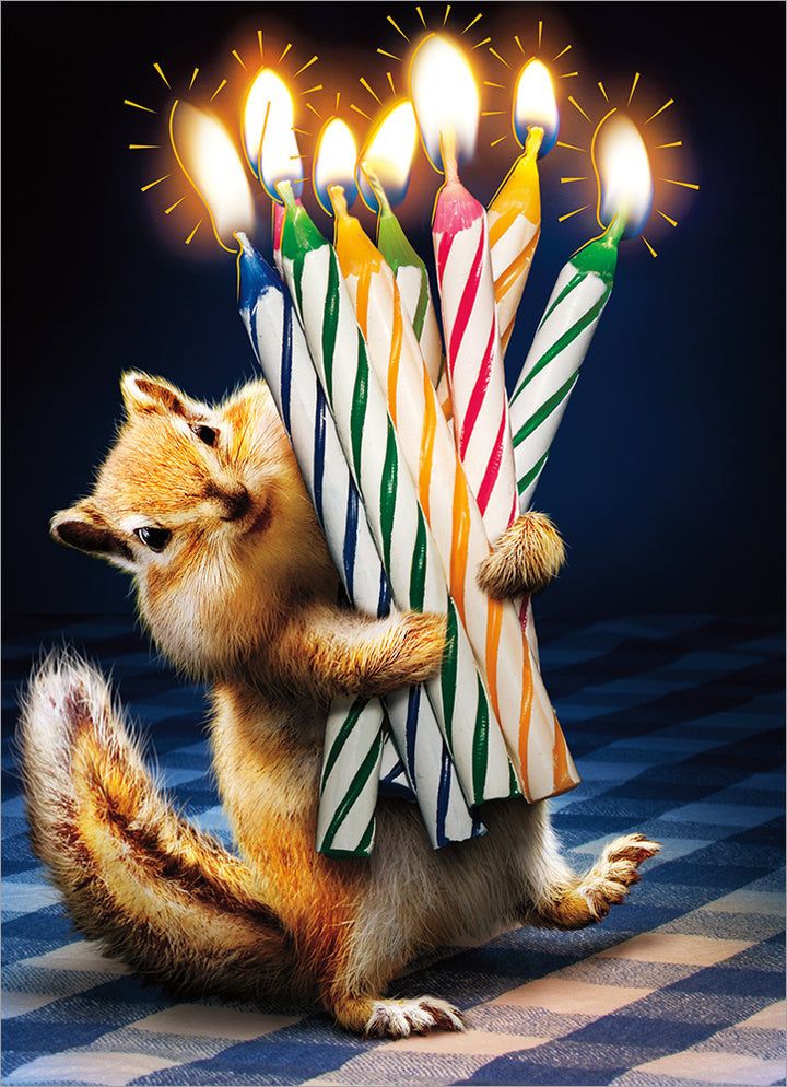 Avanti Chipmunk Birthday Candles Birthday Card Images