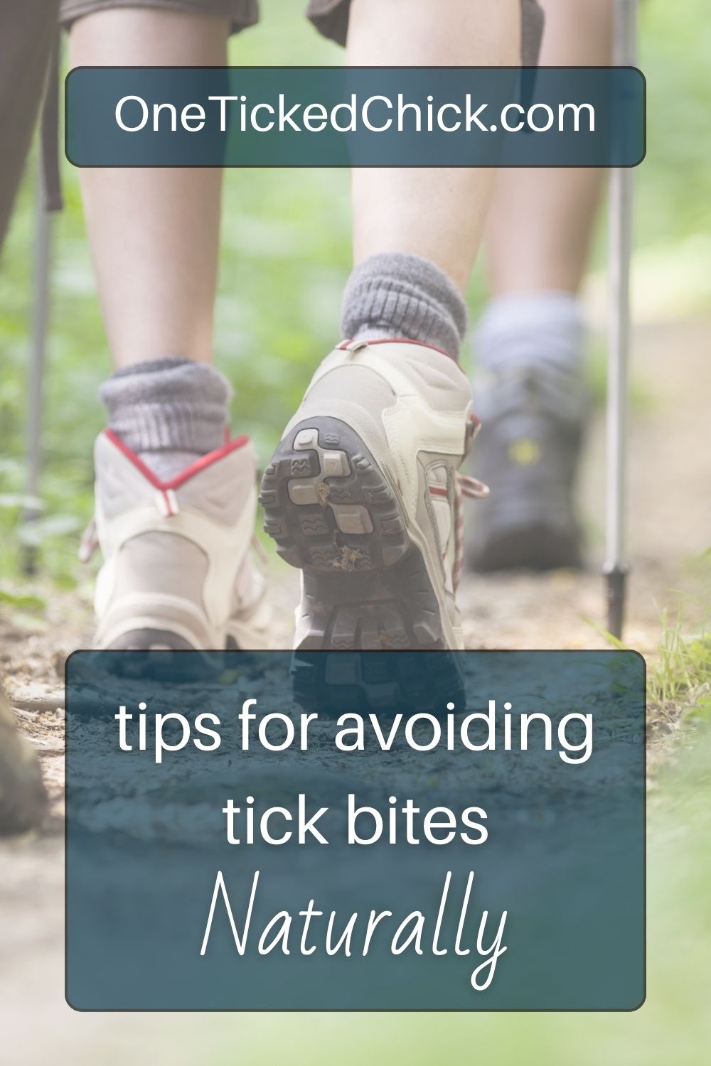Avoiding Tick Bites Naturally - Tips & Tricks to Try!