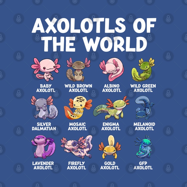 Axolotl Cute by dentikanys