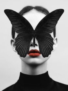 BLACK BUTTERFLY Images