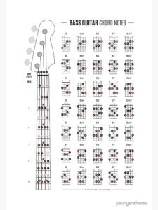 Bass Guitar Chord ,amp; Fretboard Notes Poster by penny,horse HD Wallpaper