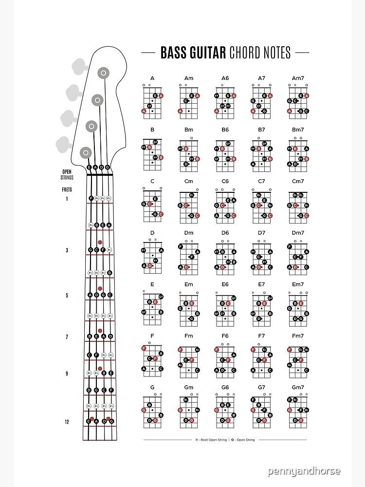 Bass Guitar Chord & Fretboard Notes Poster by pennyandhorse