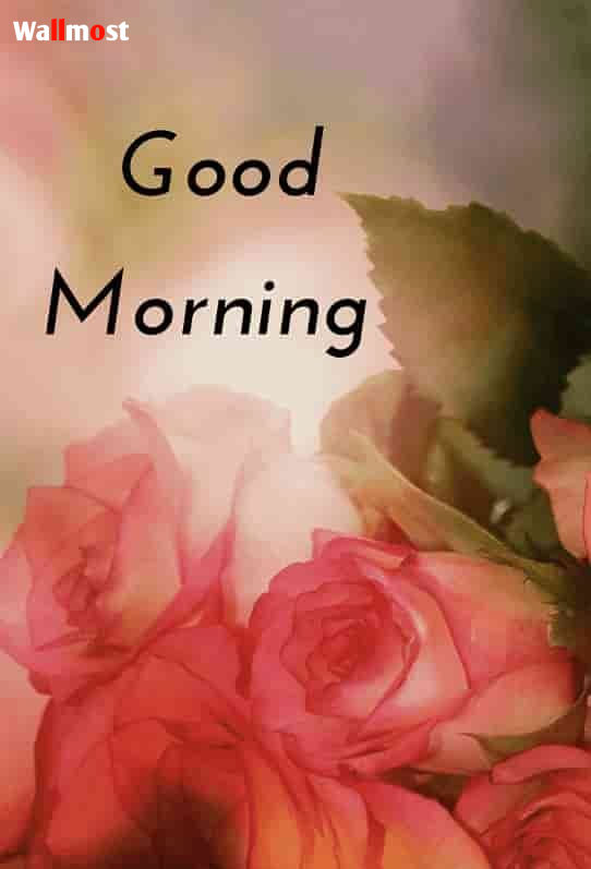 Beautiful Good Morning Image 2 E1637345194670