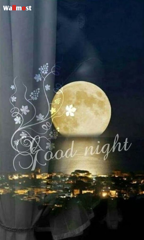 Beautiful Good Night Images 1