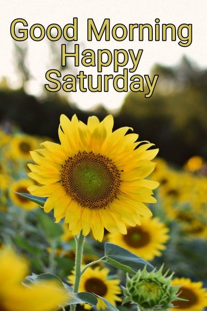 Beautiful Happy Saturday Images - Beautiful, Hd, God, Wallpa...