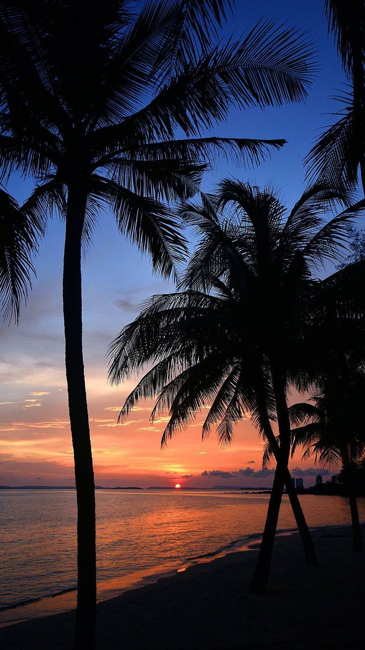 Beautiful Beach Sunset Iphone Images Hd | Sand Waves Lockscreen  4K Backgroun