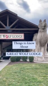 Beginners Guide to Great Wolf Lodge HD Wallpaper