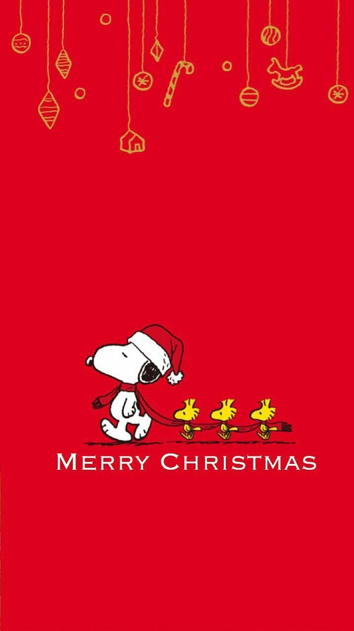 Best 25+ Snoopy christmas ideas on , | Peanuts christmas,