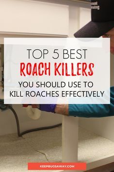 Best Roach Killer: Top 5 Products That Kill Roaches Effectively