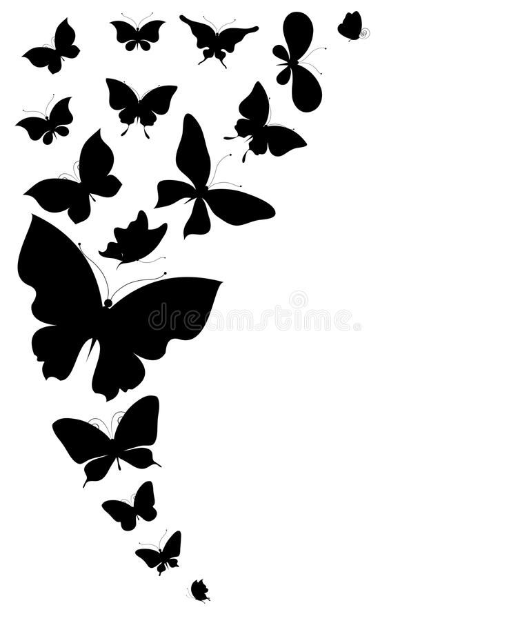 Black Butterfly, Isolated on a White Stock Vector - Illustration of vintage, swi