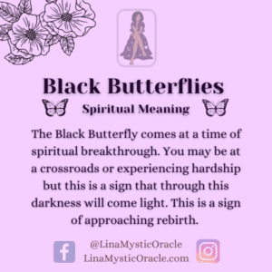 Black Butterfly Spiritual Meaning , Symbolism YOUTUBE Images