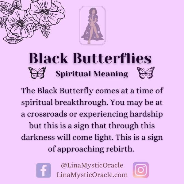 Black Butterfly Spiritual Meaning and Symbolism YOUTUBE