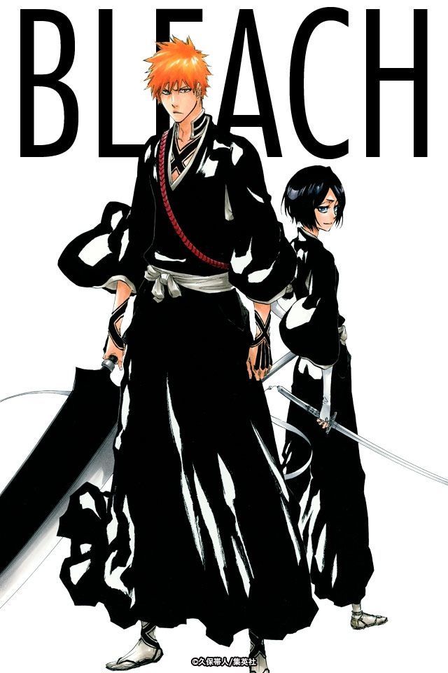 Bleach Ichigo Kurosaki And Rukia Kuchiki