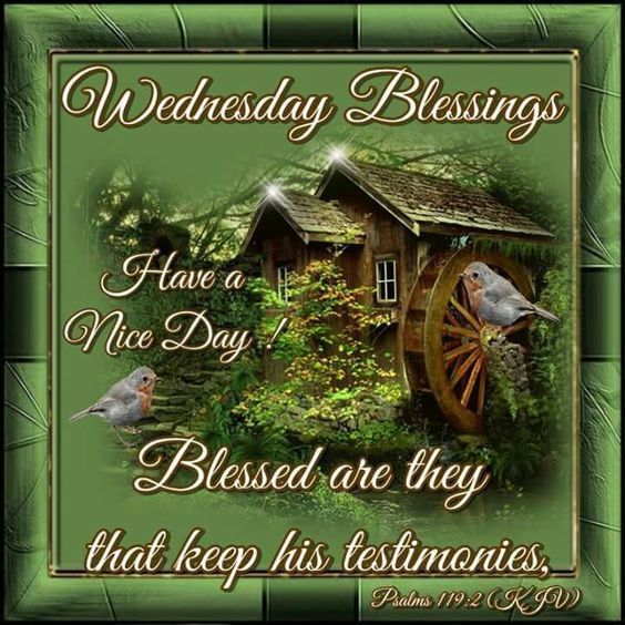 Blessed Are They That Keep His Testimony, Wednesday Blessings