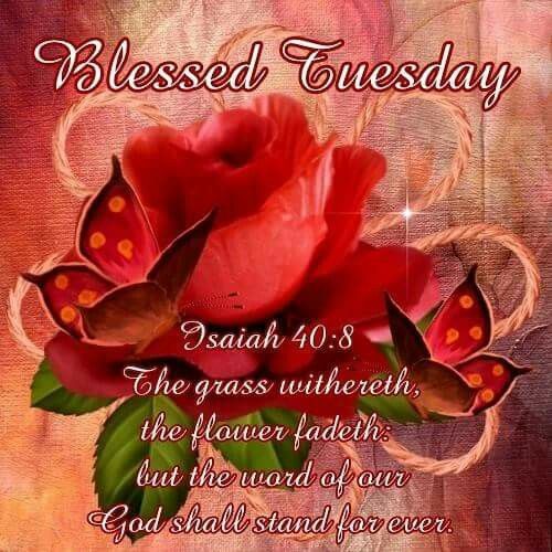 Blessed Tuesday