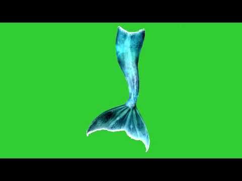 Blue Mermaids Moving Her Tail Green Screen Jalpari Only