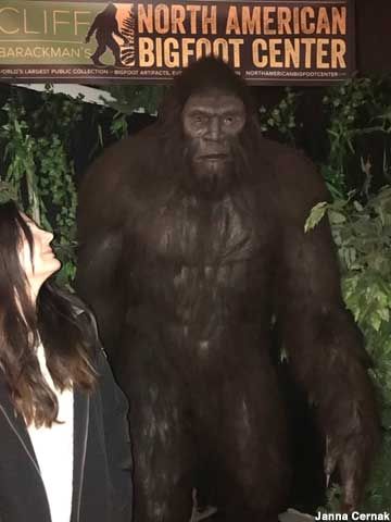 Boring Or North American Bigfoot Center Images
