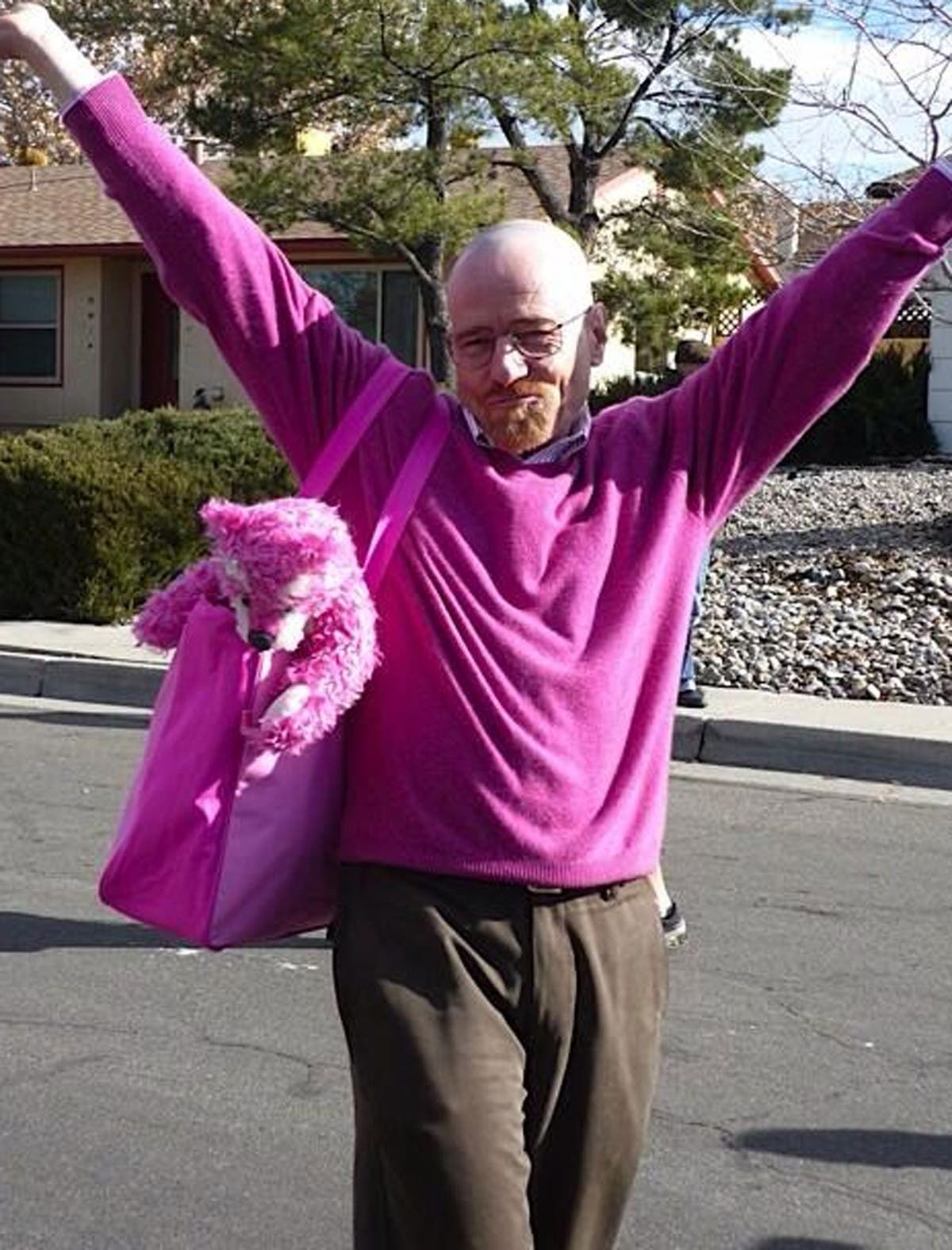 Breaking Bad Walter White really a Pink Man