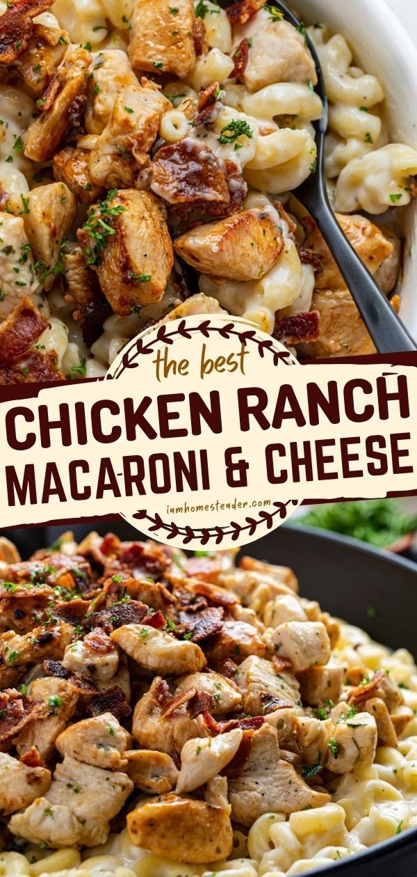 CHICKEN RANCH MACARONI AND CHEESE