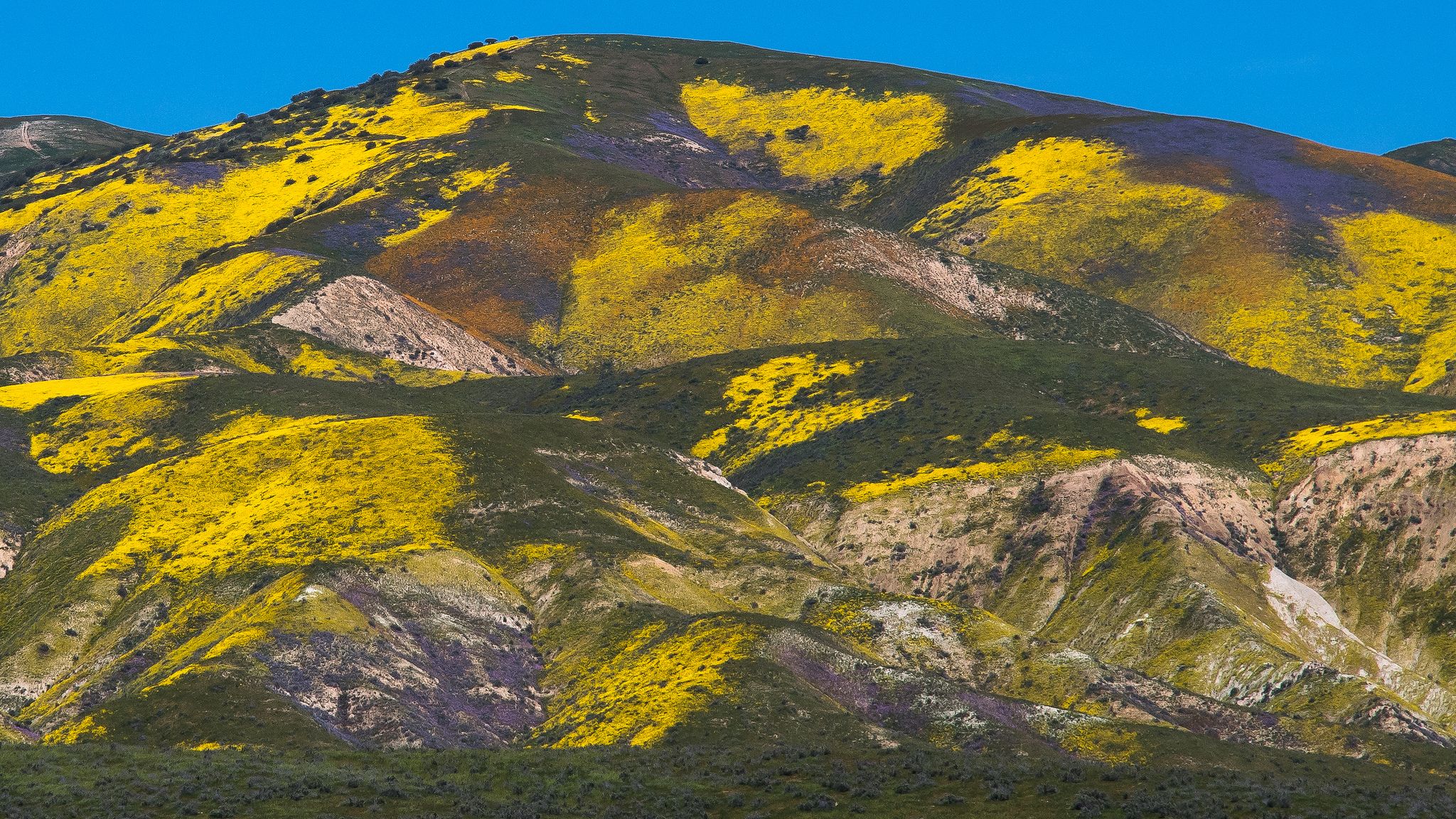 Carrizo Plain National Monument HD Wallpaper