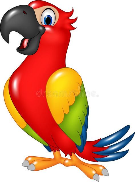 Cartoon Funny Parrot Isolated on White Background Stock Vector - Illustration of