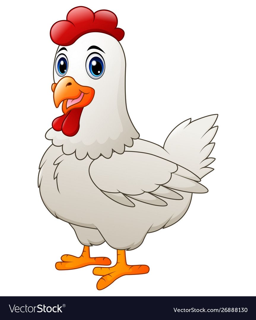 Cartoon white hen vector image on VectorStock