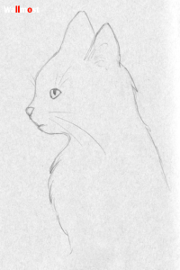 Cat Drawing 1