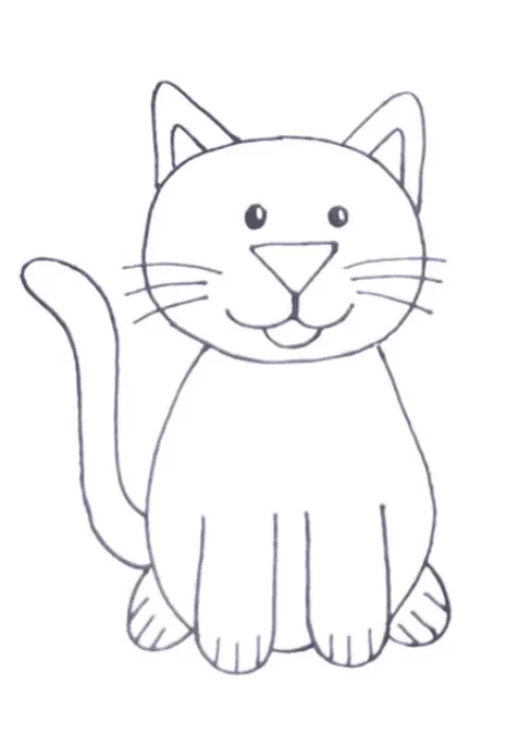 Cat Drawing 2