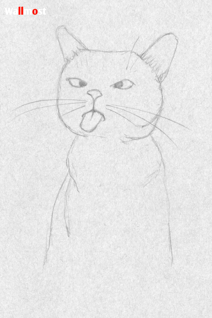Cat Drawing 4