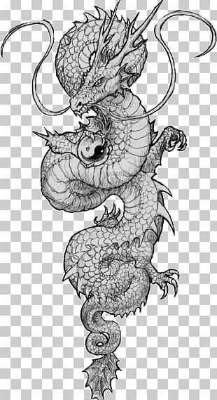 Chinese Dragon Tattoo Japanese Dragon Drawing Png Free