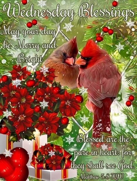 Christmas Cardinals - Wednesday Blessings
