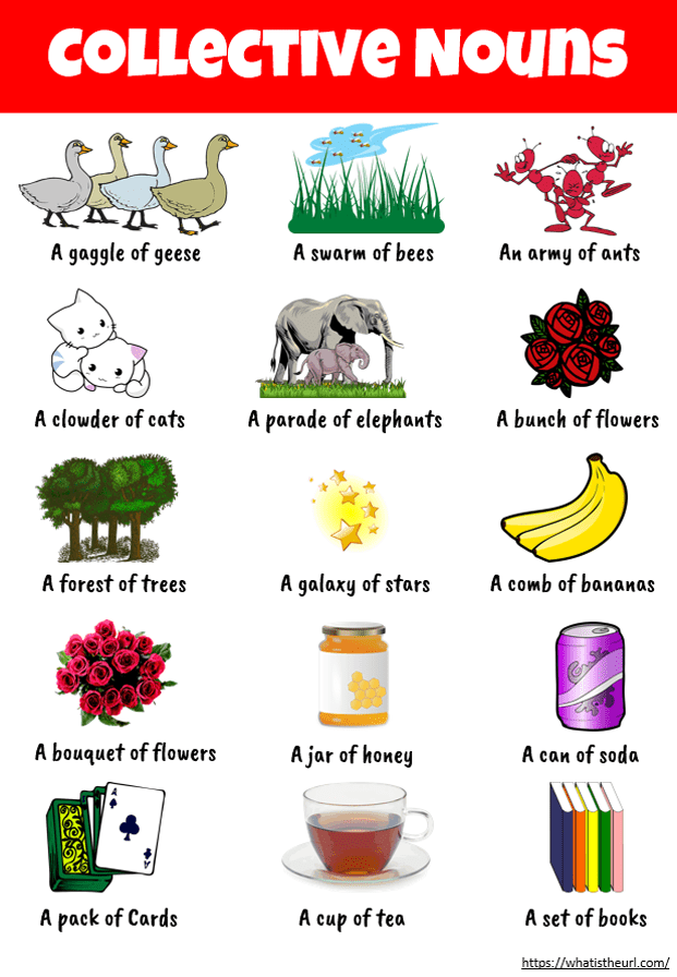 Collective Nouns Chart with images
