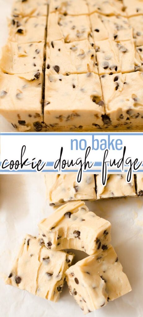 Cookie Dough Fudge Images
