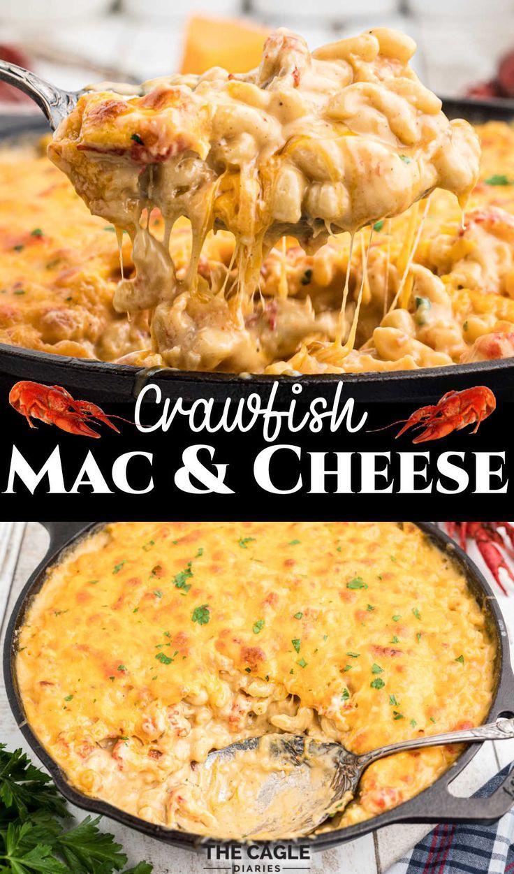 Crawfish Mac and Cheese HD Wallpaper