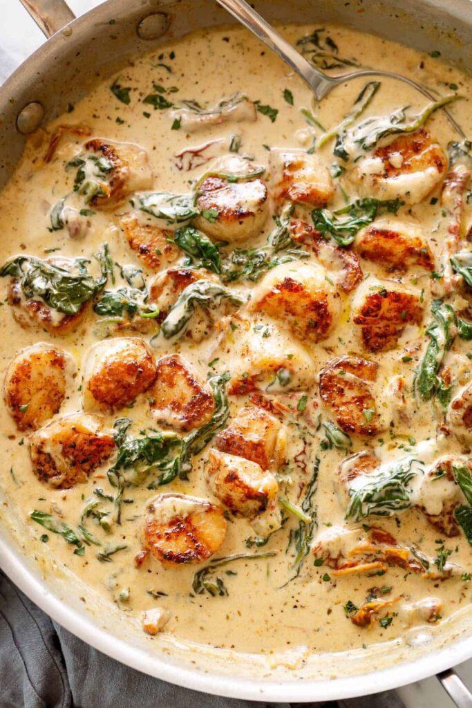 Creamy Tuscan Scallops Images