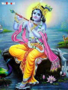 Cute Krishna Images Hd 1