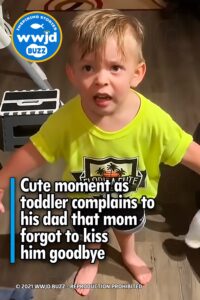 Cute moment as toddler complains to his dad that mom forgot to kiss him goodbye HD Wallpaper