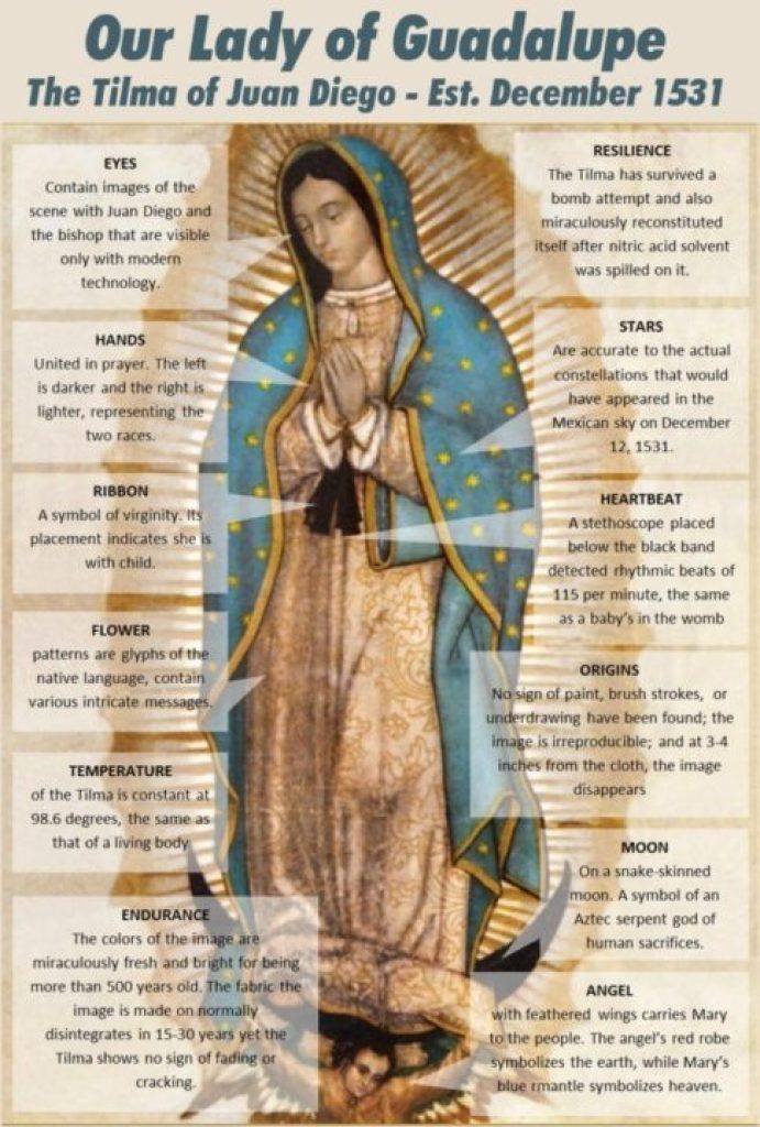 DEC. 12: 12 AMAZING FACTS OF OUR LADY OF GUADALUPE'S TILMA. HAPPY FEAST DAY OF O