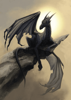 Dark Dragon What Kind Of Dragon Are You Images