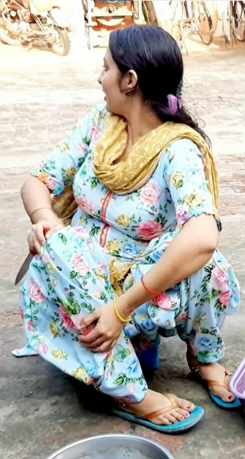 Desi Housewife - Sandy Bhabhi