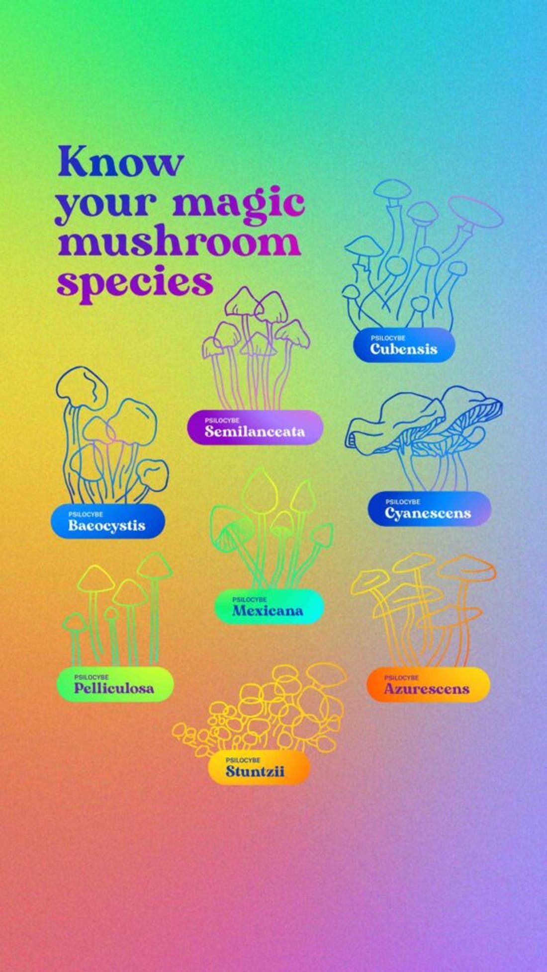 Do magic mushrooms have 'strains' like cannabis?