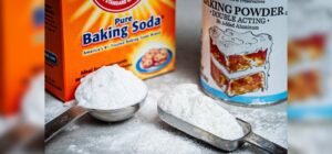 Does Baking Soda Kill Bed Bugs, (, Updated) Images