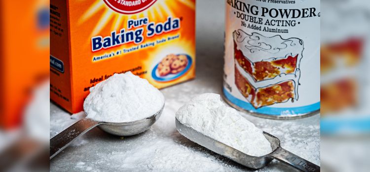 Does Baking Soda Kill Bed Bugs Updated Images