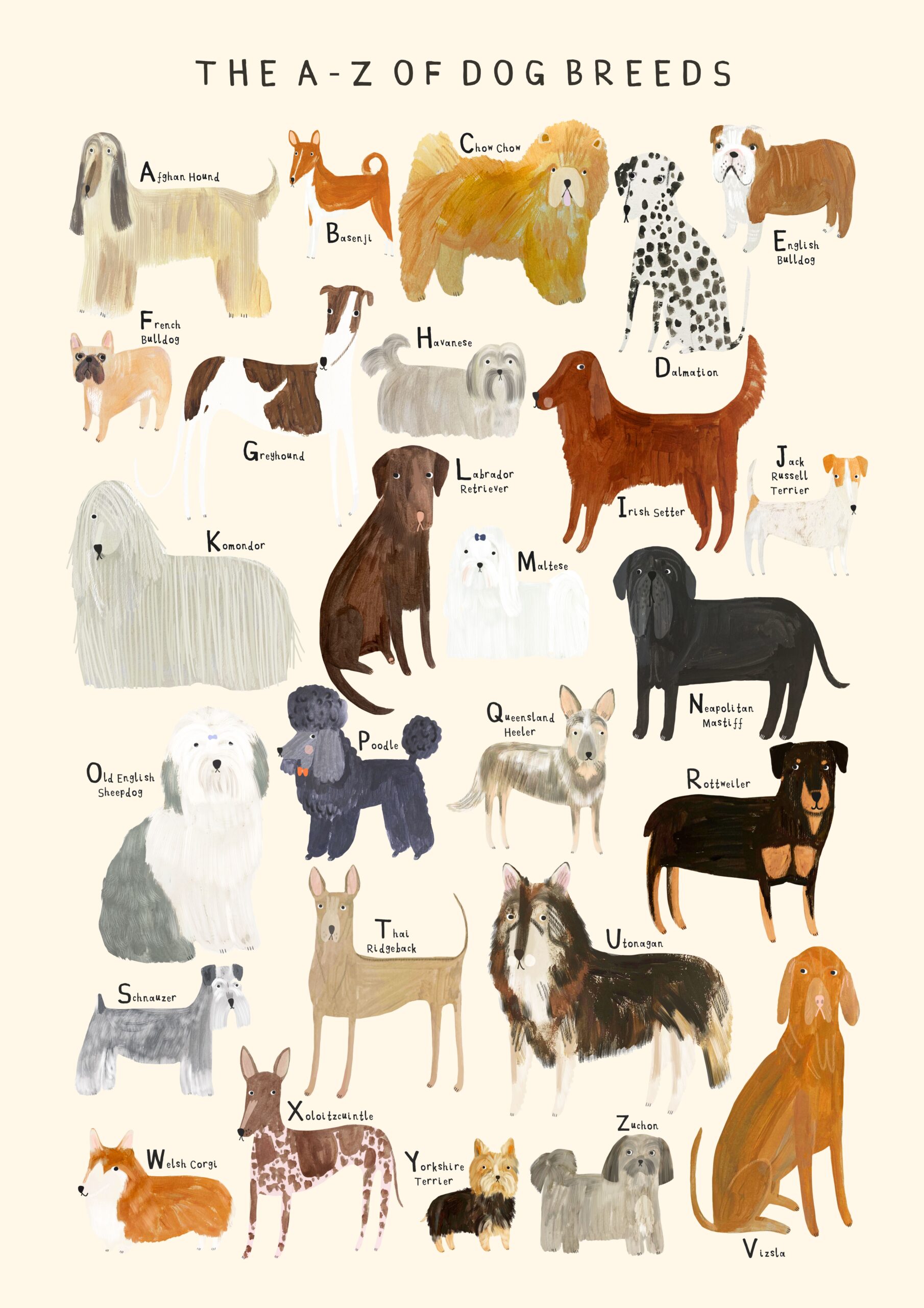 Dog Breeds Alphabet Print