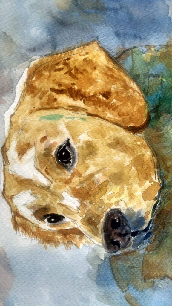 Dog Watercolour By Artist Amit Shah Images