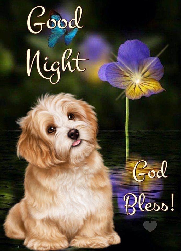 Doggy Good Night, God Bless Quote