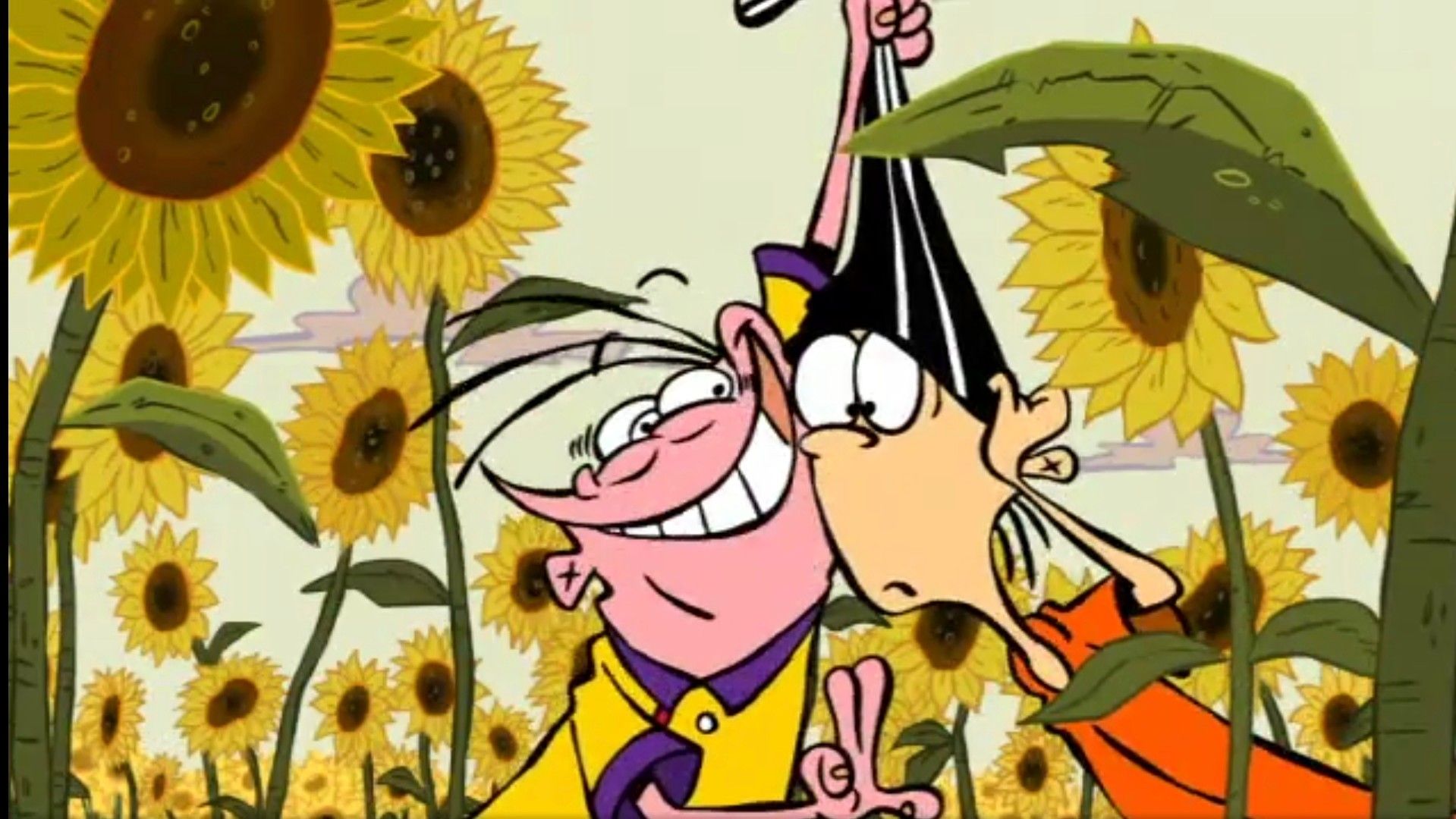 Double d and Eddy