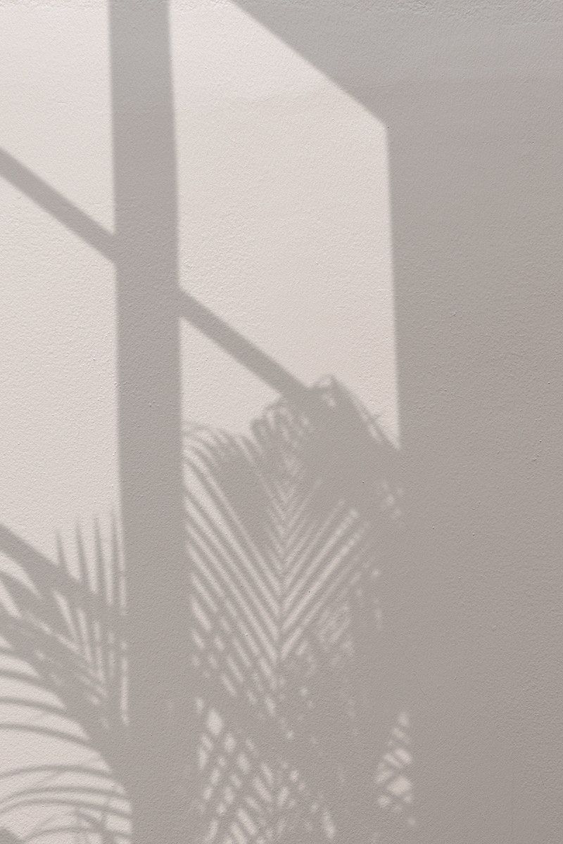 Download premium image of Background with palm tree and window shadow by Benjama